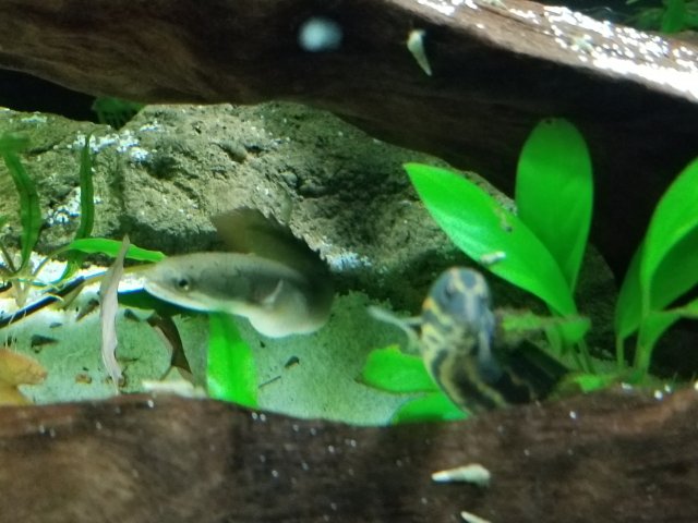 20180413_224955.jpg