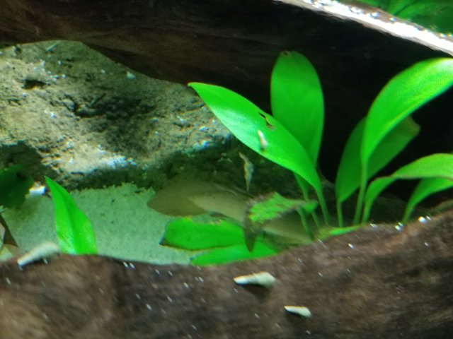 20180413_224931.jpg