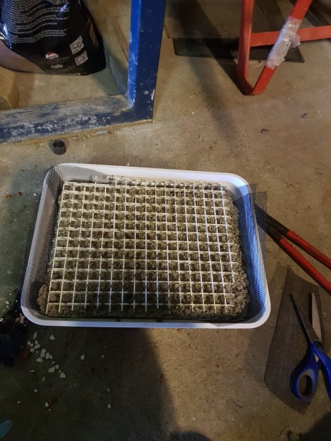 20180414_163113.jpg 20180414_163113.jpg
