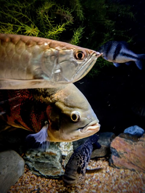 IMG_20180408_081631.jpg