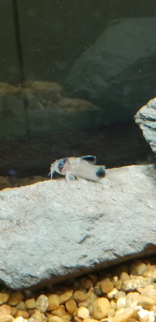 20180414_103153.jpg 20180414_103153.jpg