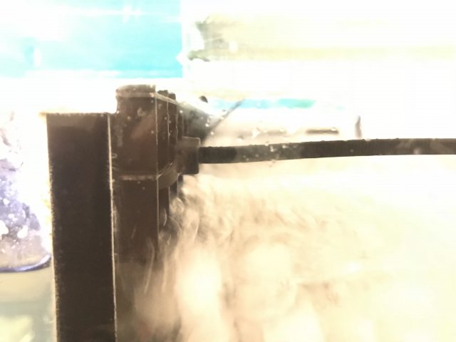 320C42C7-C91C-4E41-8587-F0950FC9A379.jpeg