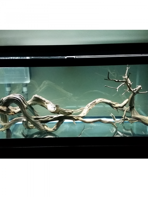 46D7118F-ADAF-452B-B3A6-7F8C28135C99.png 46D7118F-ADAF-452B-B3A6-7F8C28135C99.png