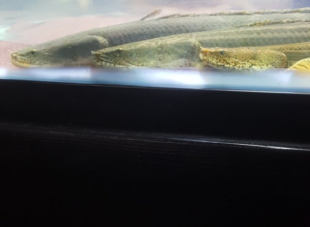 20180415_195224.jpg