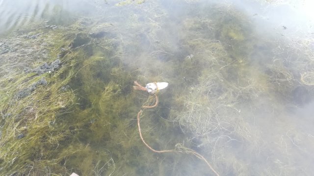 IMG_20180324_110615.jpg IMG_20180324_110615.jpg