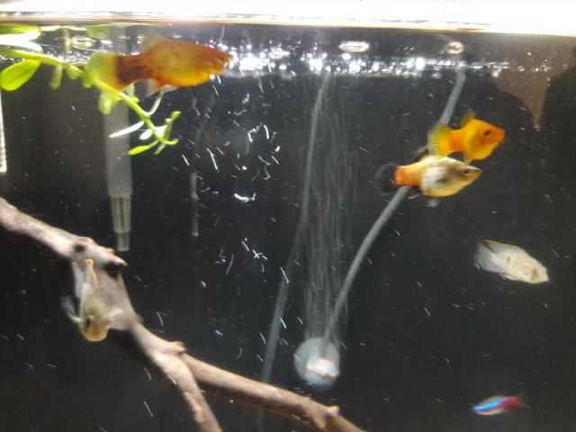 20180416_173300.jpg