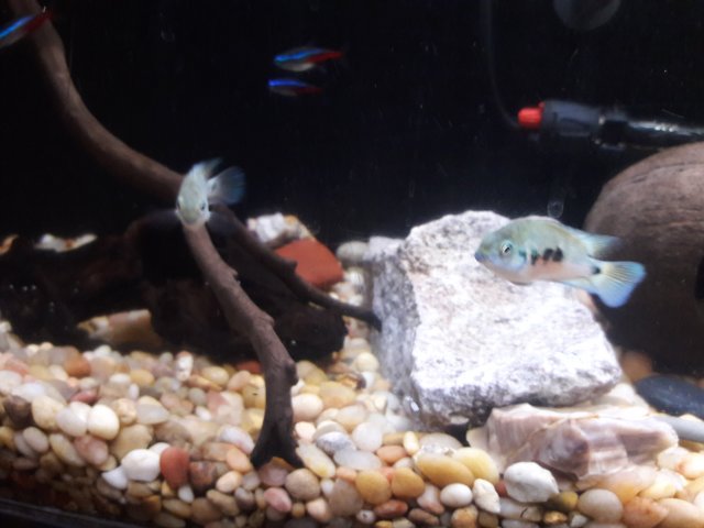 20180410_205134.jpg