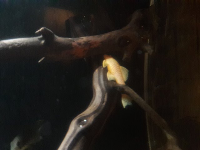20180410_205211.jpg