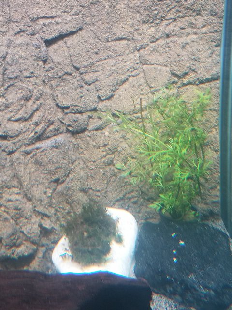 20180417_121515.jpg 20180417_121515.jpg