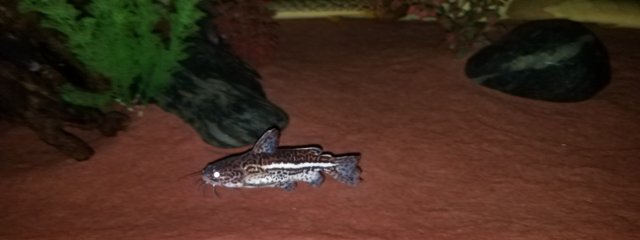 20180419_022933.jpg