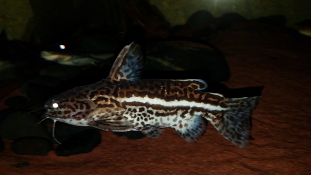 20180419_022209.jpg