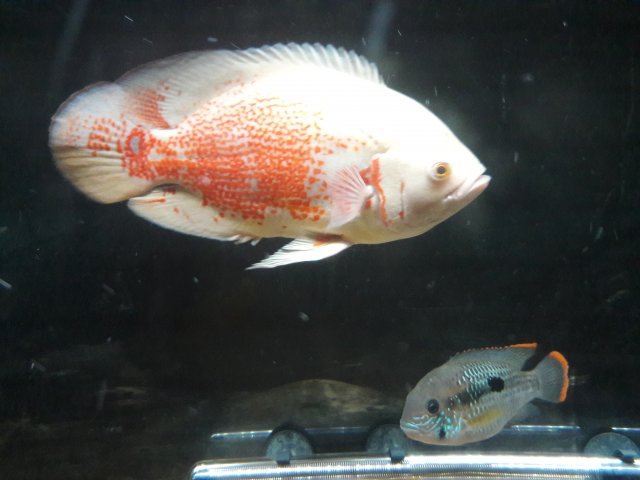 20180419_010900.jpg