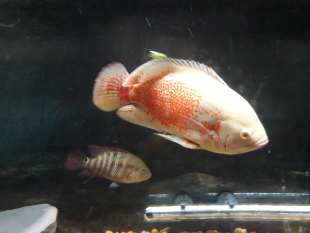 20180419_010920.jpg