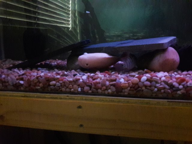 20180419_123353.jpg