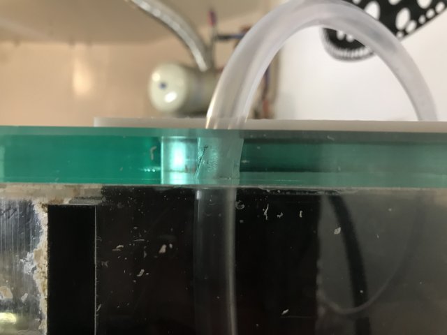 13904E84-2D0E-4349-8730-B64E5F4F3076.jpeg