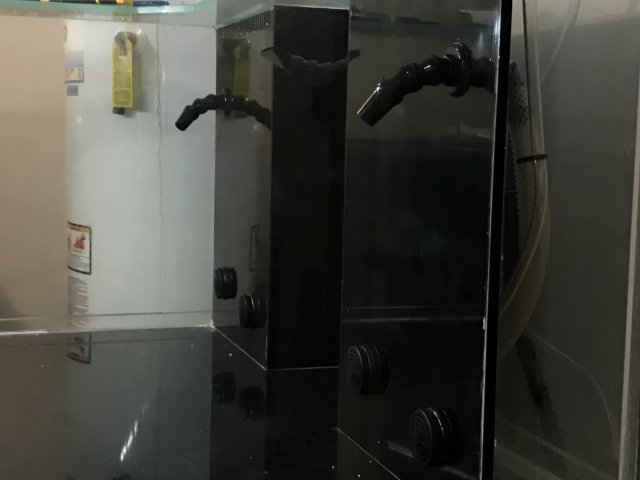 26A3501F-3FE9-472B-B9C3-FAF6E2C7C474.jpeg
