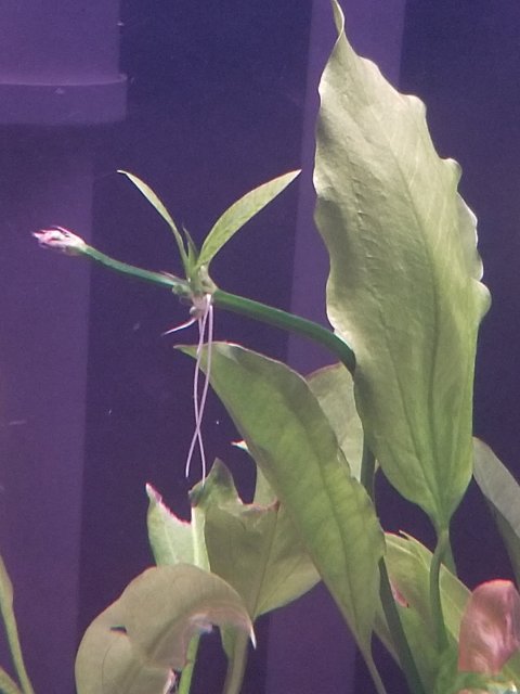 20180420_220521.jpg