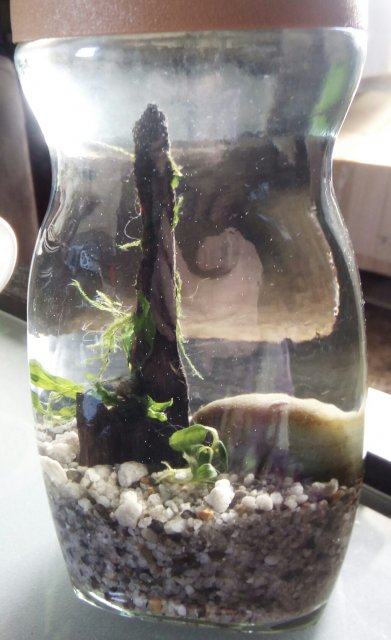 IMG_20180421_121536_027.JPG IMG_20180421_121536_027.JPG