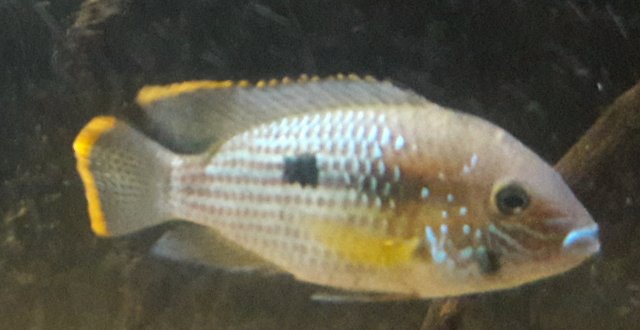 20180421_151546.jpg