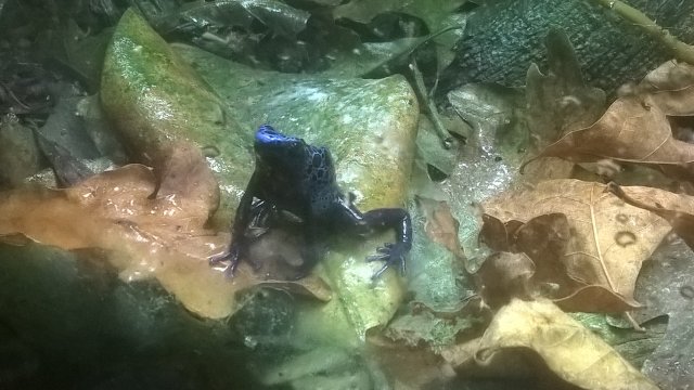 WP_20180414_15_12_29_Pro.jpg