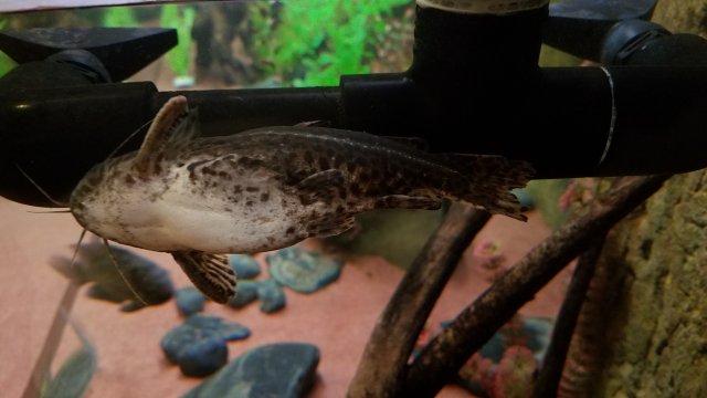 20180421_210530.jpg