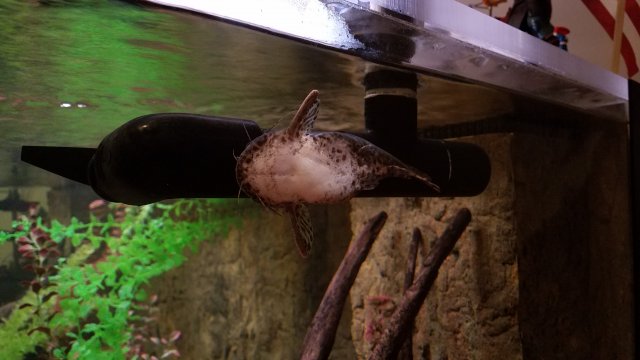 20180421_210523.jpg