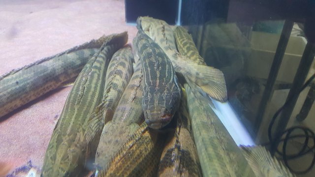 20180422_172521.jpg