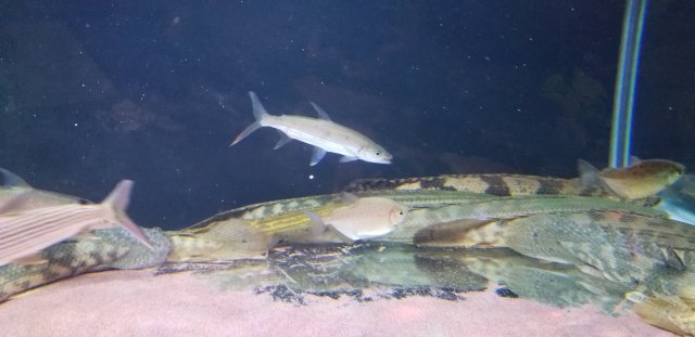 20180422_205805.jpg