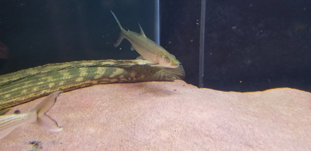 20180422_205802.jpg