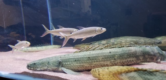 20180422_205724.jpg