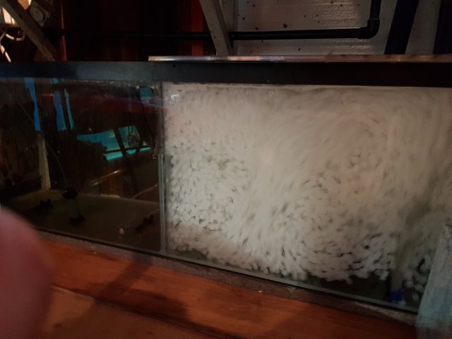 20180421_221150.jpg