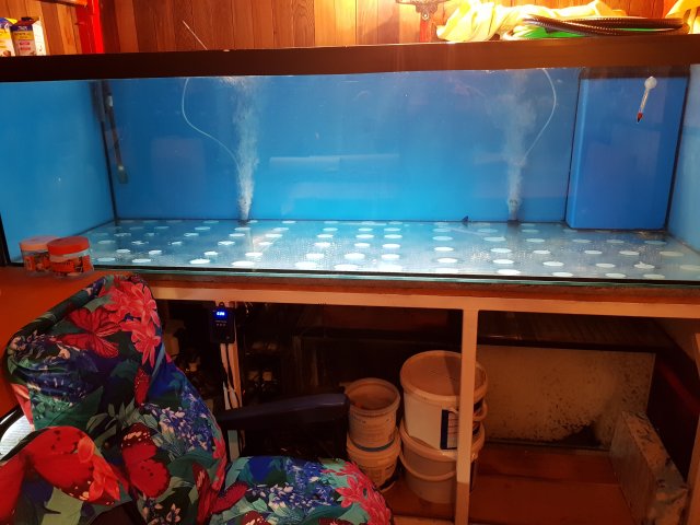 20180421_221136.jpg