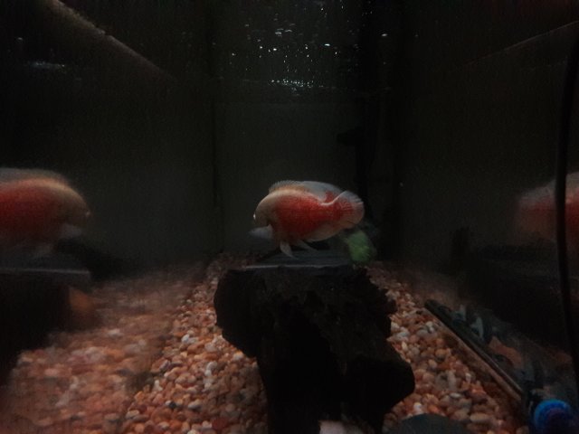 20180423_223749.jpg