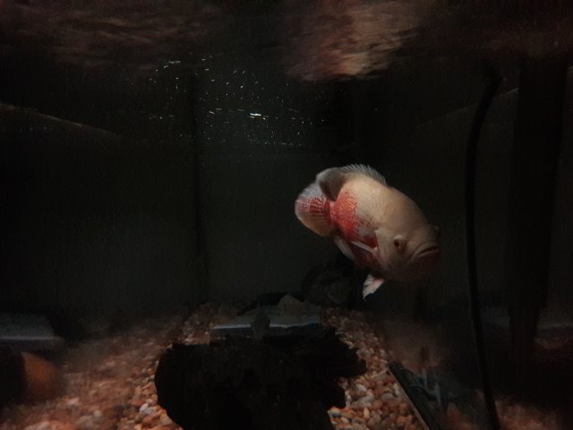 20180423_224141.jpg