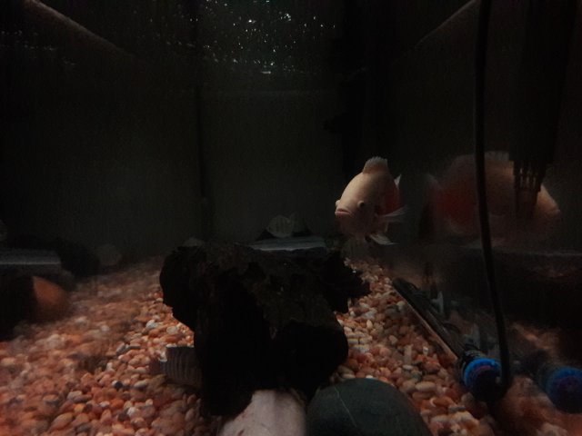 20180423_224225.jpg