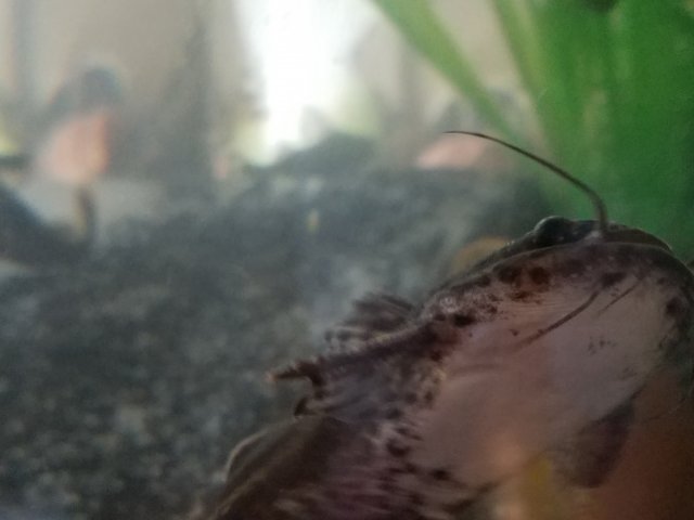 20180424_133857.jpg