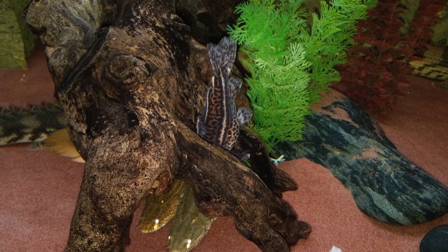 20180424_165323.jpg