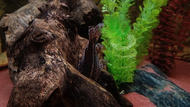 20180424_165249.jpg