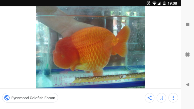 Screenshot_20180425-190834.png