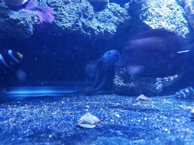 20180220_231848.jpg 20180220_231848.jpg