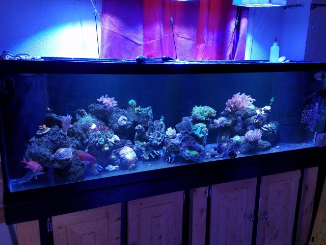 20180418_134439.jpg 20180418_134439.jpg