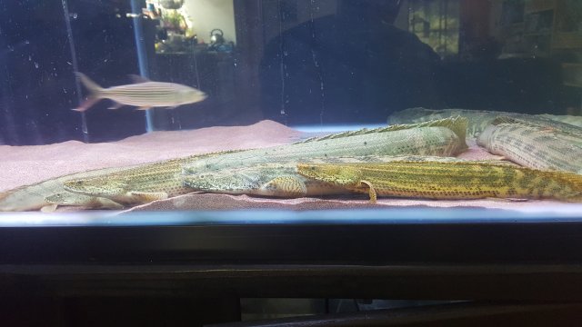 20180426_105028.jpg