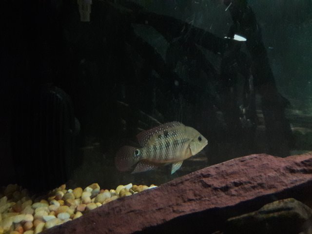 20180426_223157.jpg