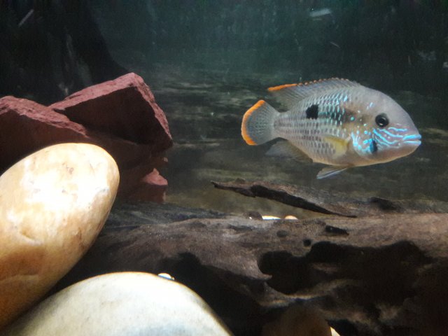 20180426_223318.jpg