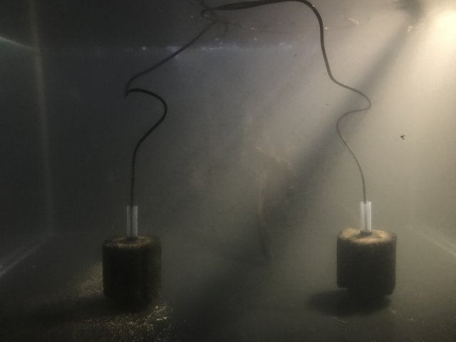 98D30C4E-71A8-4084-9A9A-42D00A30D6D8.jpeg