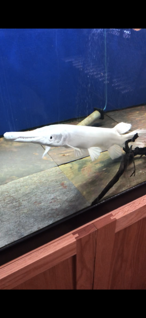 7C4861E9-561C-4231-8494-B5A7A7C680D3.png 7C4861E9-561C-4231-8494-B5A7A7C680D3.png