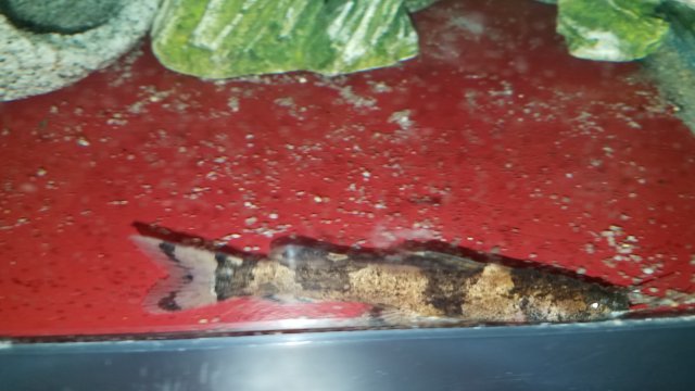 20180501_124528.jpg