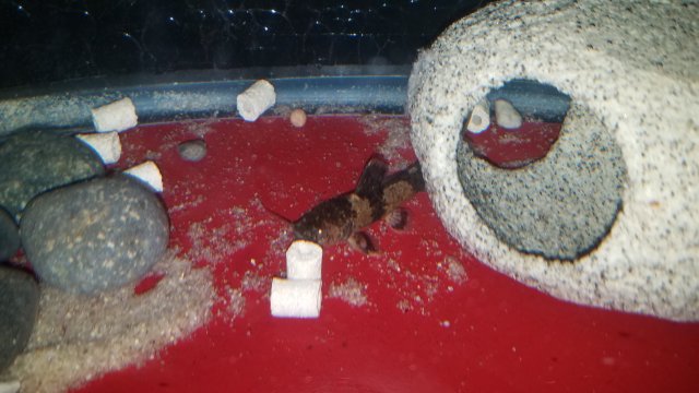 20180501_124446.jpg