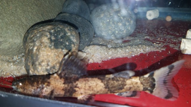 20180501_124251.jpg