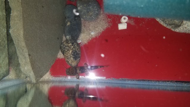 20180501_124248.jpg